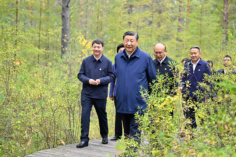 9月6日至8日，中共中央總書記、國(guó)家主席、中央軍委主席習(xí)近平在黑龍江考察。這是6日下午，習(xí)近平在大興安嶺地區(qū)漠河市漠河林場(chǎng)自然林區(qū)考察